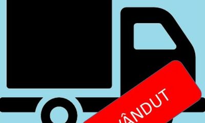 Bunuri mobile diverse, tip autoutilitară (lot 1) - a treia licitatie